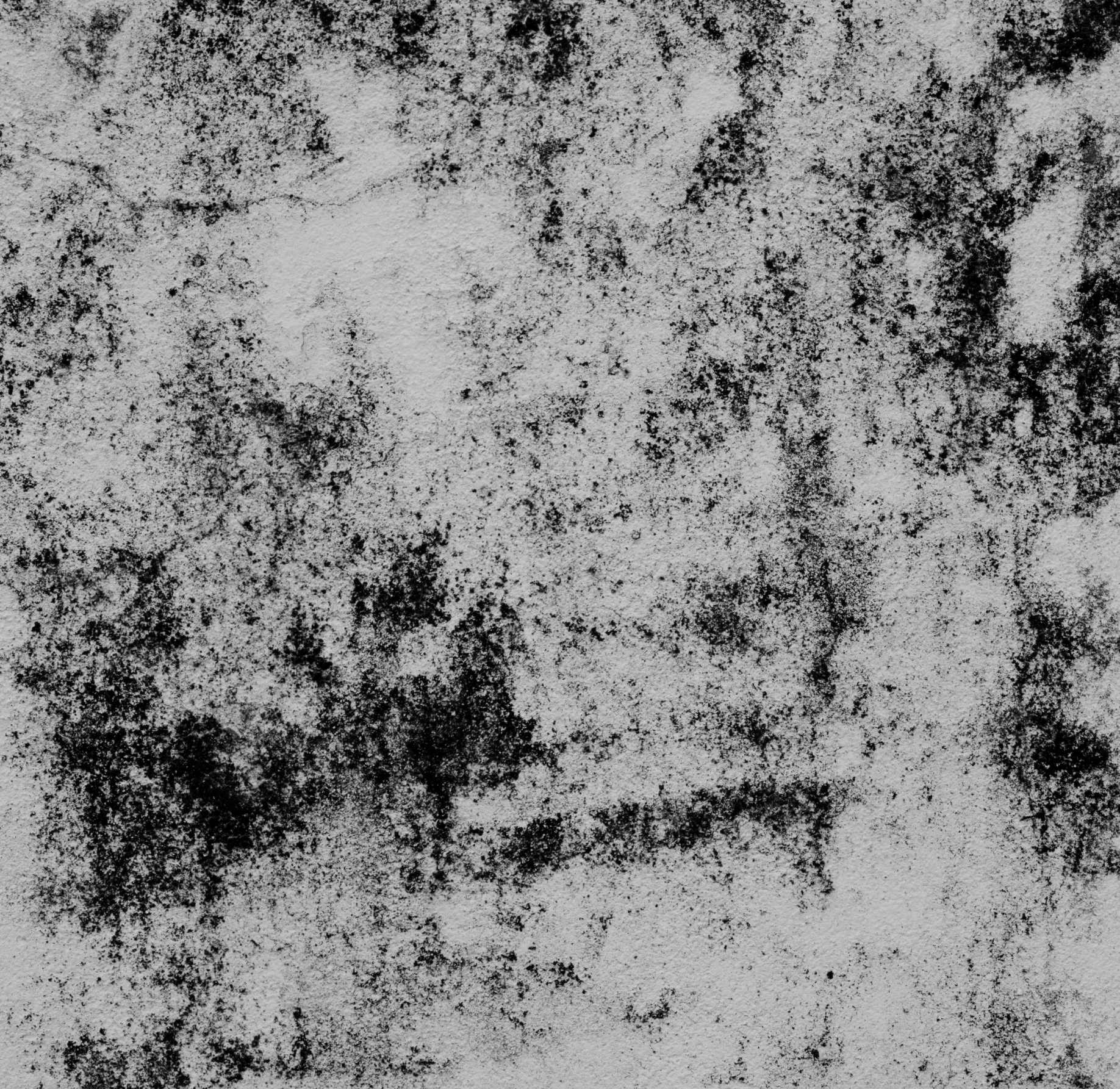 Foto von Annie Spratt auf Unsplash.jpg